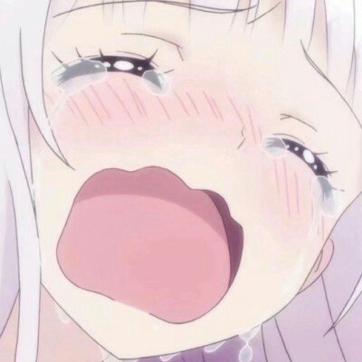 动车加装卧铺床帘